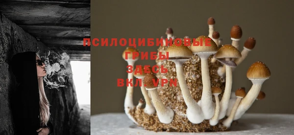 шишки Михайлов