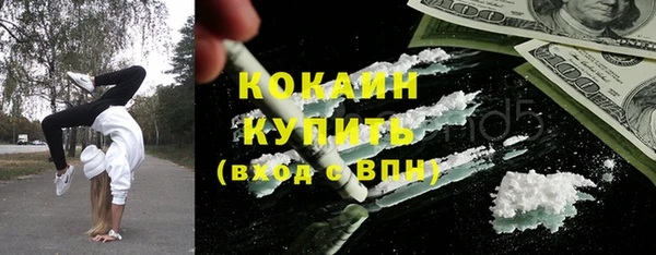 шишки Михайлов