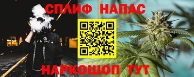 гидра Волгодонск