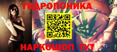 гидра Волгодонск
