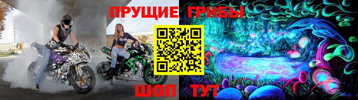 Галлюциногенные грибы Cubensis Дубна