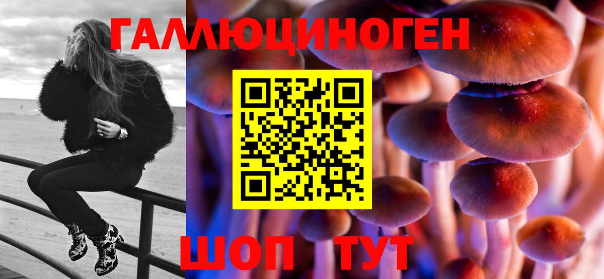 Галлюциногенные грибы мухоморы  Вход с VPN  Галлюциногенные грибы прущие грибы  Дубна 